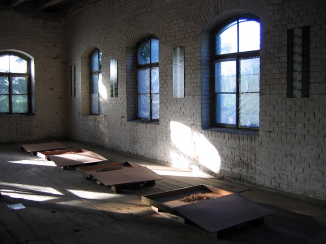 © Renate Egger. Herbarium. Installation. Fotokomposition Landschaft I-IV (1989/93, 1994), getrocknete Wiesenblumen (1995-2005), Kassetten von der kartographischen Sammlung der Österreichischen Nationalbibliothek / Herbarium. Installation. Photo-composition landscape I-IV (1989/93, 1994), dried meadow-flowers (1995-2005), boxes from the cartographic collection of the Austrian Nationallibrary.