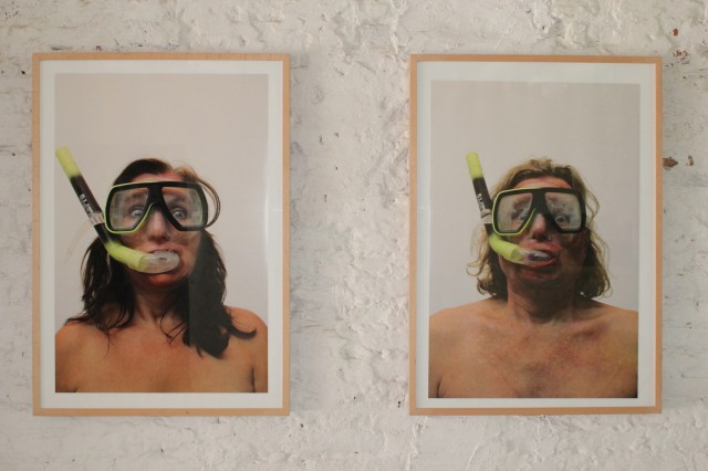 © Wilhelm Roseneder. Renate 549, Wilhelm 571, 2009. Trans Pulmina, 2012. Artfarm Pilastro. Pilastro di Bonavigo (VR), Italy
