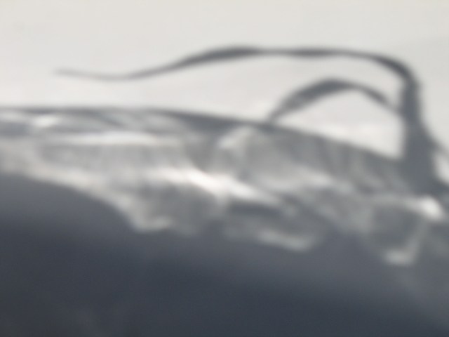 © Renate Egger. Schatten/Shadow, 2007. Fotografie/Photography, 50x70 cm