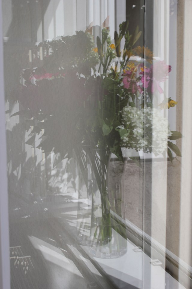 © Renate Egger. Spiegelung/Reflection. Blumen/Flowers, 2012. Installation, Fotografie/Installation, photography