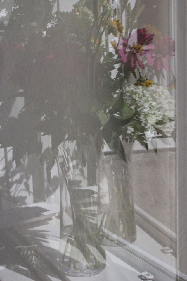 © Renate Egger. Spiegelung/Reflection. Blumen/Flowers, 2012. Installation, Fotografie/Installation, photography