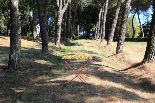 © Wilhelm Roseneder. Goldene Erweiterung/Golden expansion, 2005-2009. Polyurethan, Acryllack auf Metall (Wäschetrockner)/Polyurethane, acrylic varnish on metal (airiel drier), 1.92x1.07x60 cm. Artist in Residence. Azienda Colonna. Cervinara, Paliano, Italy 2011