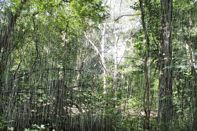 © Wilhelm Roseneder. Woodcut Nr. 1596, 2012. Fotografie/Photography