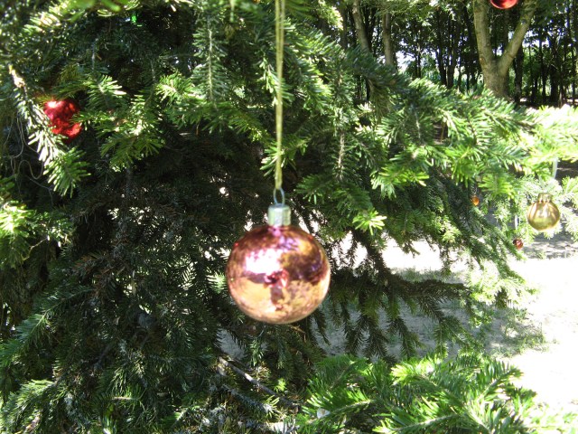 © Renate Egger. Christmas tree, 2011. Installation, Fotografie, Video/Installation, photography, video. Artfarm Pilastro. Pilastro di Bonavigo (VR), Italy