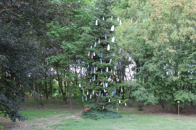 © Renate Egger. Plastikbaum/Plastic tree, 2012. Installation, Plastikflaschen, Baum, Fotografie, Video/Installation, plastic bottles, tree, photography, video. Trans Pulmina. Artfarm Pilstro. Pilastro di Bonavigo, Verona, Italy