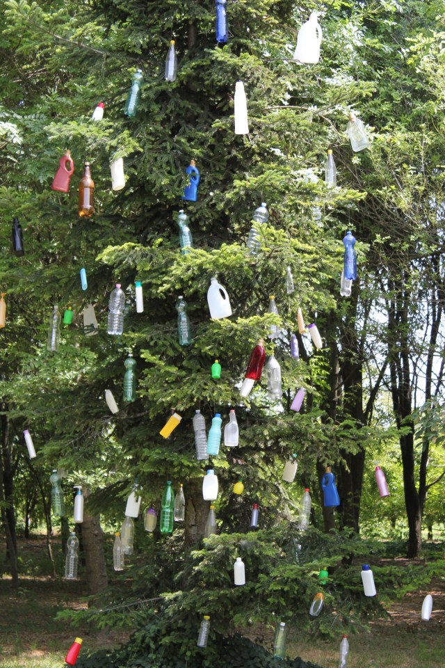 © Renate Egger. Plastikbaum/Plastic tree, 2012. Installation, Plastikflaschen, Baum, Fotografie, Video/Installation, plastic bottles, tree, photography, video. Trans Pulmina. Artfarm Pilstro. Pilastro di Bonavigo, Verona, Italy