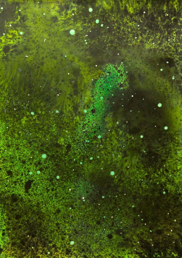 © Wilhelm Roseneder. Sternenbild/Constellation Nr. 1030610, 2010. Aquarell, chinesische Reibetusche auf Papier/Watercolour, Chinese ink on paper, 69.8x50 cm