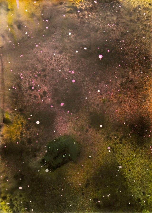 © Wilhelm Roseneder. Sternenbild/Constellation Nr. 2040610, 2010. Aquarell, chinesische Reibetusche auf Papier/Watercolour, Chinese ink on paper, 69.8x50 cm