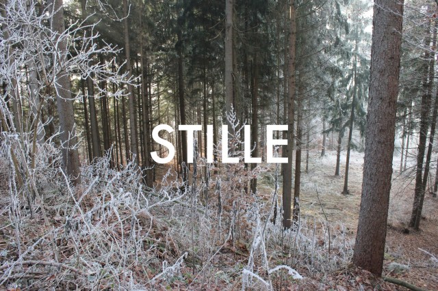 © Wilhelm Roseneder. STILLE Nr. 20121, 2013