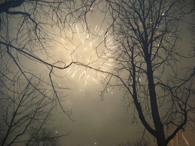 © Renate Egger. Feuerwerk/Fireworks. Vienna, Austria 2010