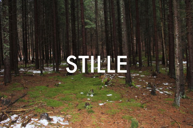 © Wilhelm Roseneder. STILLE Nr. 20020, 2013