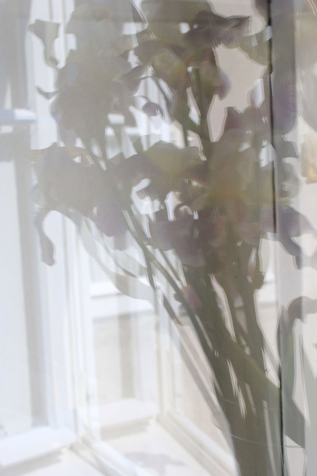 © Renate Egger. Lilien/Lilies, 2012. Series: Spiegelung/Reflection