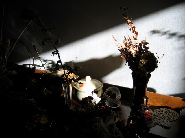 © Renate Egger. Licht und Schatten/Light and shadow., 2006. Serie: Fotografische Stillleben/Still life photography 