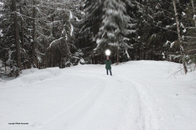 © Wilhelm Roseneder, Renate Egger. Happy New Year, 2015