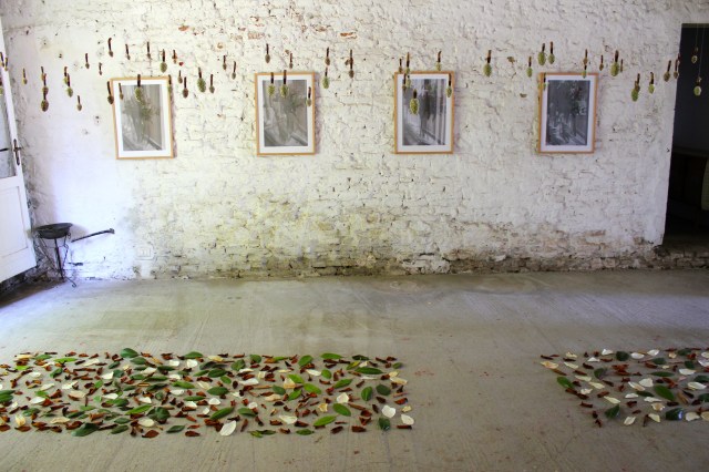 © Renate Egger. Herbarium Magnolia. Installation. Ultima Edizione. Artfarm Pilastro. Pilastro di Bonavigo, Verona, Italy, 2015