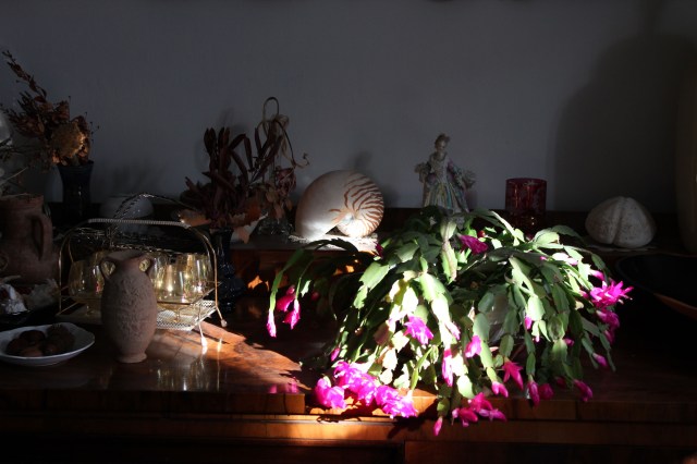 © Renate Egger. Memory collection #111215, 2015