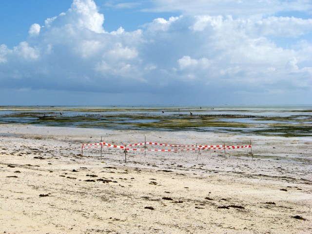© Renate Egger. Paradies/Paradise. Absperrband, Holzstöcke/Barrier tape, wooden sticks. Jambiani, Zanzibar, Africa, 2011
