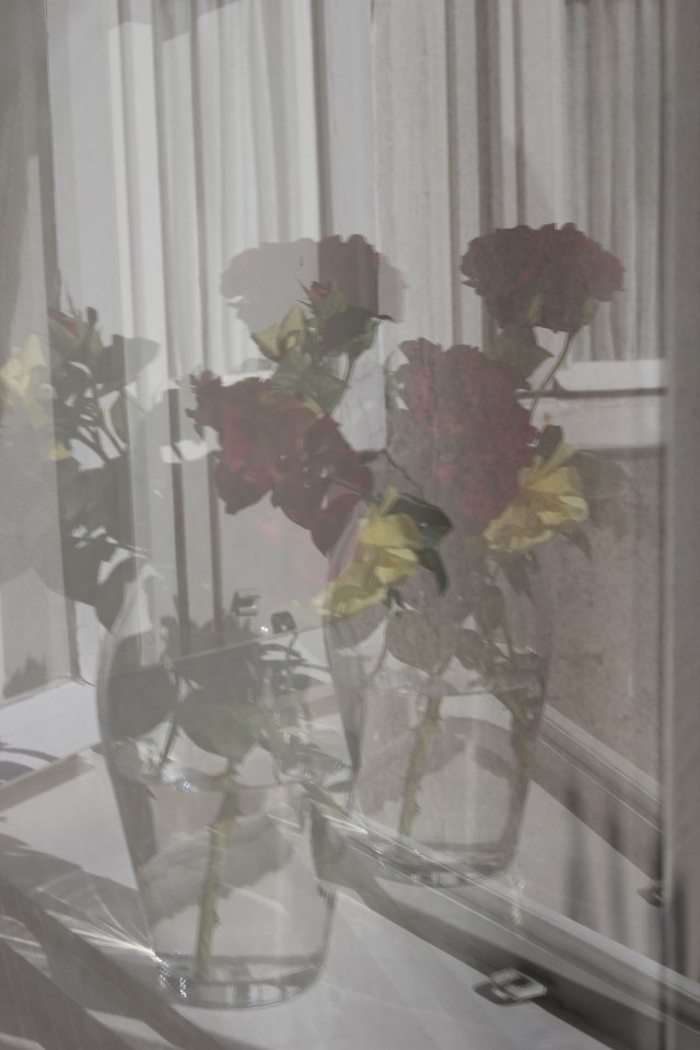 © Renate Egger. Rosenstrauß/Bouquet of roses, 2015. Series: Spiegelung/Reflection
