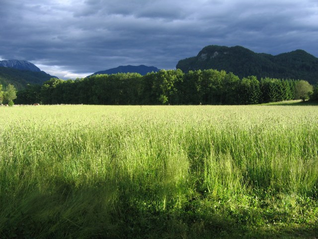 © Renate Egger. Landschaft/Landscape, 2006